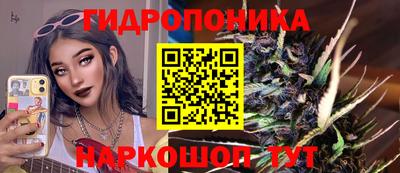 ешки Лесосибирск